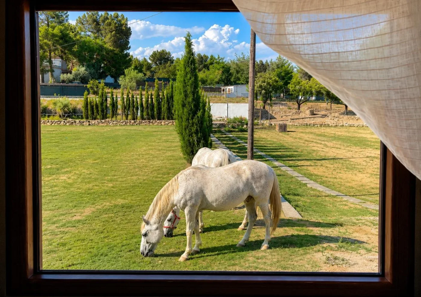 Un caballo pastando junto a la casa