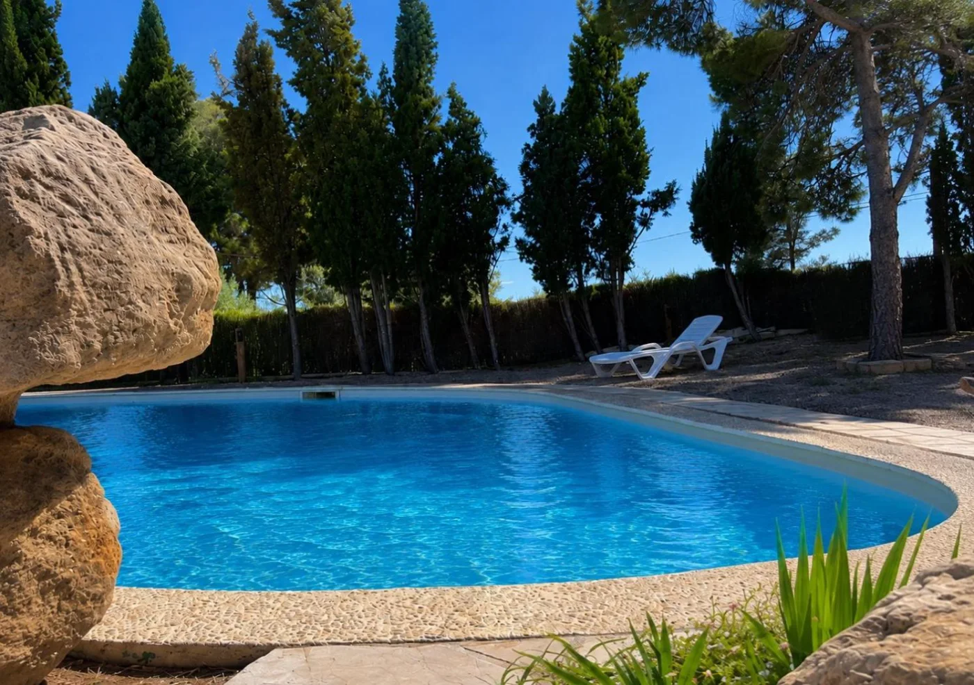 La piscina y los cipreses